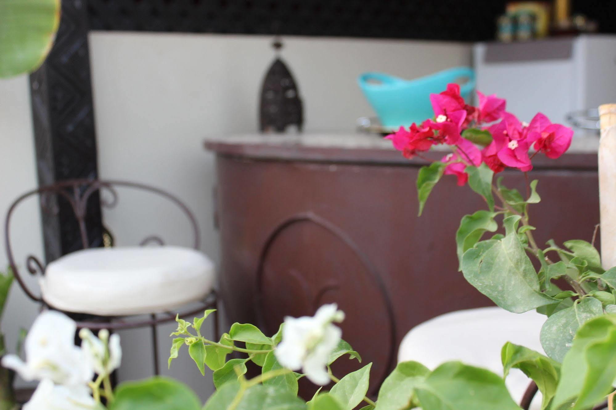 Riad Reve D'Or Marrakesz Zewnętrze zdjęcie